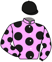 Casaque du n°1 — SPOTTER