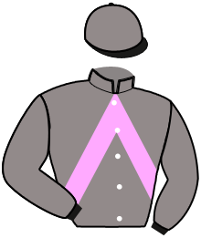 Casaque du n°14 — KLEMS DE JAVIE