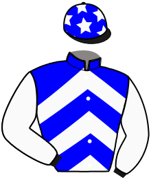 Casaque du n°1 — MALICIA TOR