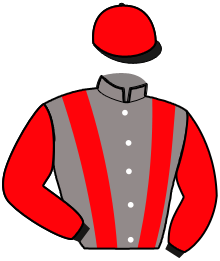 Casaque du n°15 — MELROSE DES VAUX