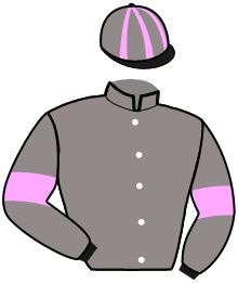 Casaque du n°3 — MONZA SEMILLY