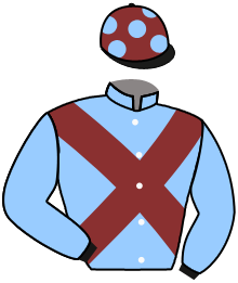 Casaque du n°2 — BATTLEFIELD BOY