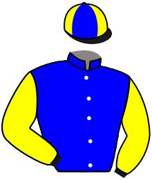 Casaque du n°10 — BEAU JARDINE