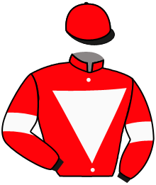 Casaque du n°8 — MART