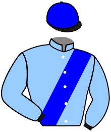 Casaque du n°10 — EL CARRUSEL