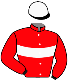 Casaque du n°10 — LADY GA