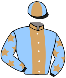 Casaque du n°2 — MOZARD DE LA BRUNIE AA