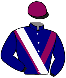 Casaque du n°15 — IRONICO