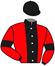 Casaque du n°10 — ILEVEN