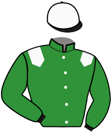 Casaque du n°1 — MEDITH DE VALAILLE