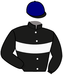 Casaque du n°16 — MALINE DU PLESSIS