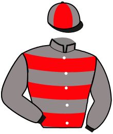 Casaque du n°5 — LALBER