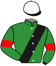 Casaque du n°9 — HORSE WOOD PASS
