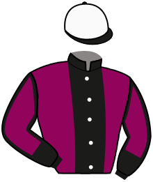 Casaque du n°1 — IBRA DEI VELTRI