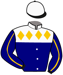 Casaque du n°3 — CARAMIA
