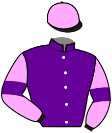 Casaque du n°2 — MAYA DU WIB