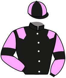 Casaque du n°11 — MAJESTE DAIRPET