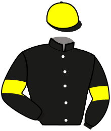Casaque du n°11 — NUSTINE