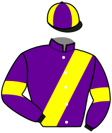 Casaque du n°12 — MANCEAU DU BRAY