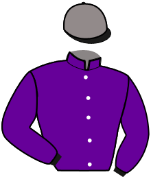 Casaque du n°3 — MAESTRO DES BARGES