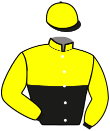 Casaque du n°6 — MISTRAL D'ESTRELLA
