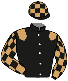 Casaque du n°3 — MILORD DE BASSARD