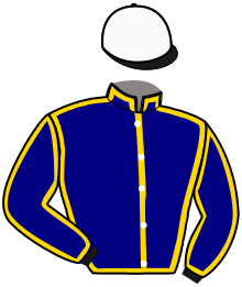 Casaque du n°16 — LOYAL ELEVEN