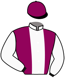 Casaque du n°2 — PIANO BAR