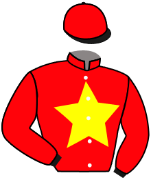 Casaque du n°4 — REGALIENNE