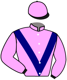 Casaque du n°6 — MALAVELLO