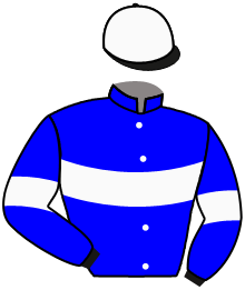 Casaque du n°11 — CANENA