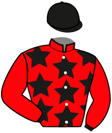 Casaque du n°4 — MOUSTACHE