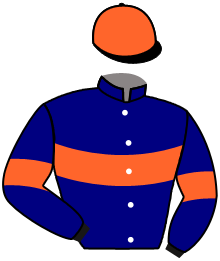 Casaque du n°14 — NARKIS BALL
