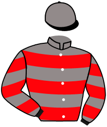 Casaque du n°3 — ALPHA BOREAL