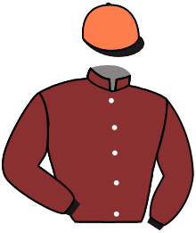 Casaque du n°9 — STALKY