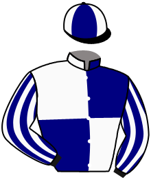 Casaque du n°1 — NIKITA WINNER