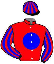 Casaque du n°17 — LA DUCASSE