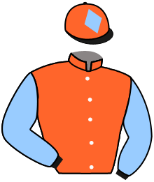 Casaque du n°2 — GINJA DES TAILLONS