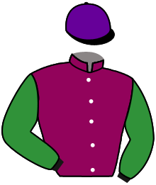 Casaque du n°7 — ROYAL SAGA