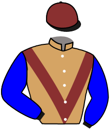 Casaque du n°11 — RAMONA