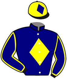 Casaque du n°16 — MARTINELLO