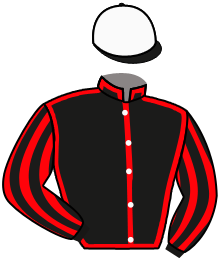 Casaque du n°17 — MAPREFERENCE ALLEN