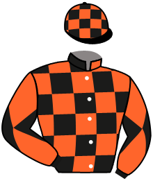 Casaque du n°5 — MARQUISE D'AINAY