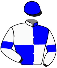 Casaque du n°9 — GORSTELLA
