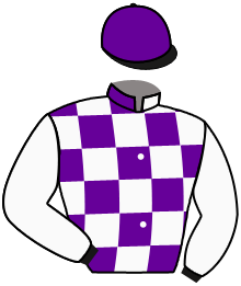 Casaque du n°10 — VOLTA CAP