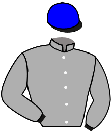Casaque du n°8 — ULZARA