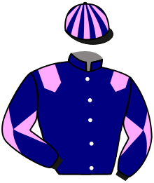 Casaque du n°9 — ALASSA
