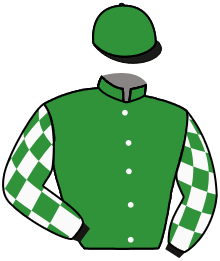 Casaque du n°2 — SAQR DE LA GLOIRE
