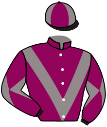 Casaque du n°5 — TIGRE ROUGE