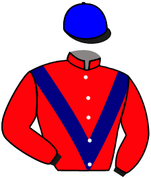 Casaque du n°7 — ESTRALIA